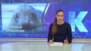 Новости Калининграда — итоги дня, 19.06.2026