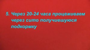 Чудо удобрение для рассады и домашних растений из банановой кожуры