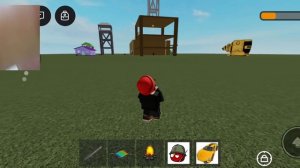 я играю в roblox