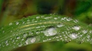 Летние природные явления. Часть1 Загадки