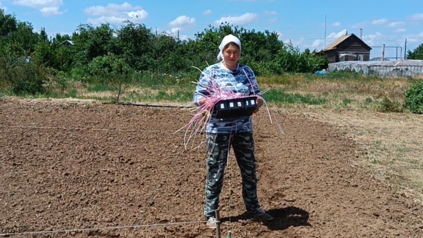 В погребе лес! Будет новый питомец? Начала сажать картошку. смотреть онлайн