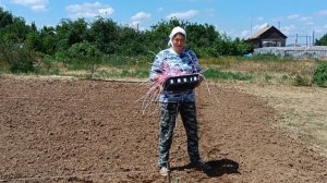 В погребе лес! Будет новый питомец? Начала сажать картошку.