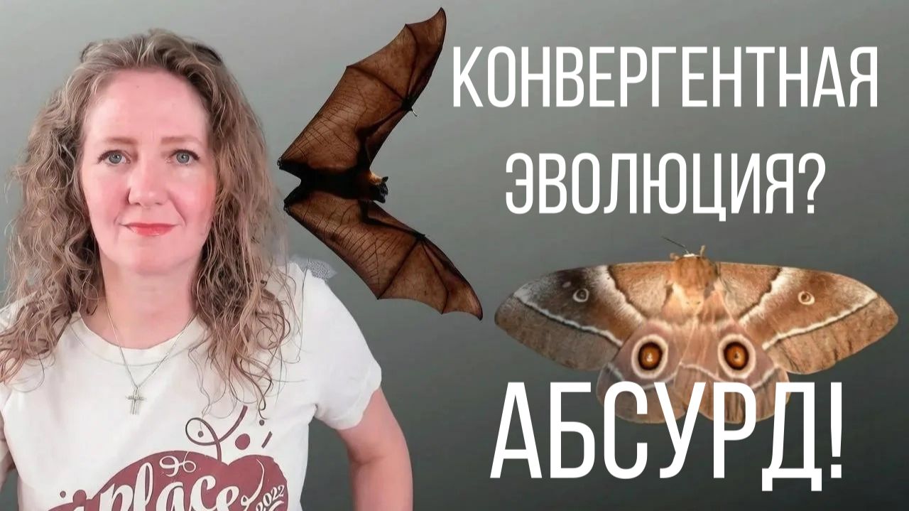 Эволюция опровергнута? Проблема конвергентной эволюции