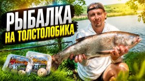 Рыбалка на толстолобика: от подготовки до улова #fishing  #рыбалка #толстолобик