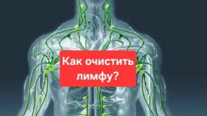 Как очистить лимфу и лимфотическую систему🫠🫠🫠