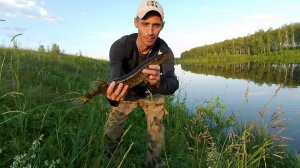 ТУТ СТОЛЬКО ЩУКИ... Вечерняя рыбалка на щуку река Исток.