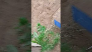 1000010471.mp4