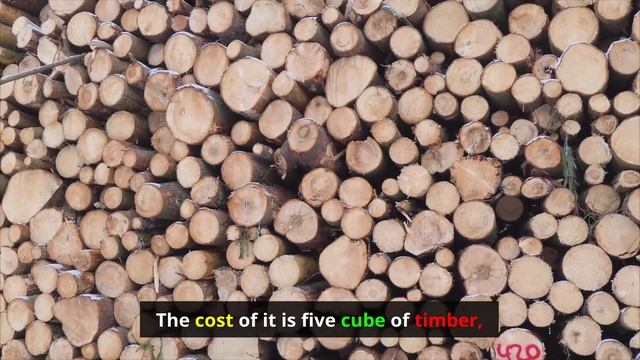 Building a rock-solid foundation solo: The Cabin milestone is complete! (Cabin Cuts #40) смотреть онлайн