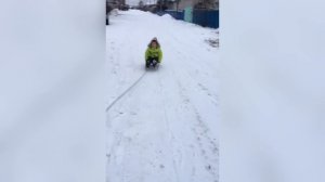 Собака и малыш...