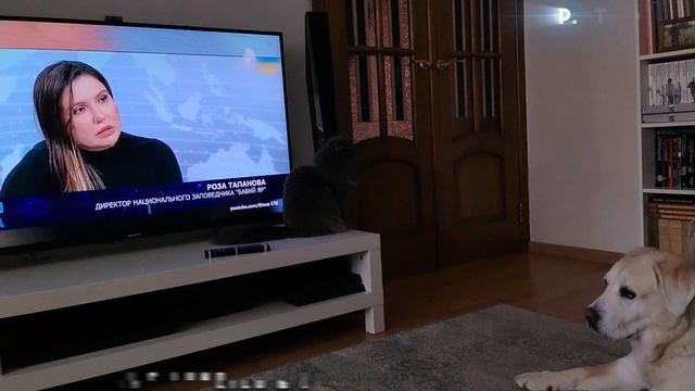 Лилу и Луна. Июнь 2026 г.