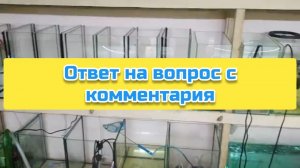 Ответ на вопрос с комментария