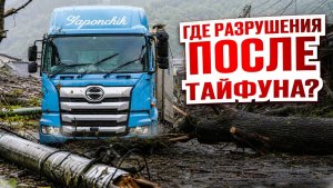 Поваленные деревья и разбитые машины Как Японцы справляются с тайфунами
