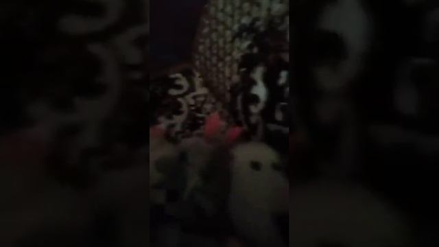 Побег из домашней тюрьмы