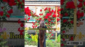 Видео и Фото не БраТь( Запэндо)!👑🕊️Новая⚜️2026⚜️Цыганская Песня🕊️👑ТиПа🌹💫Для Души👍🛎️🫰