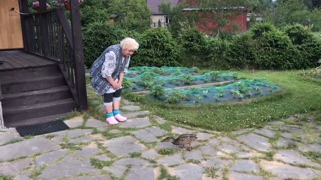 Утиные истории . Первый сезон