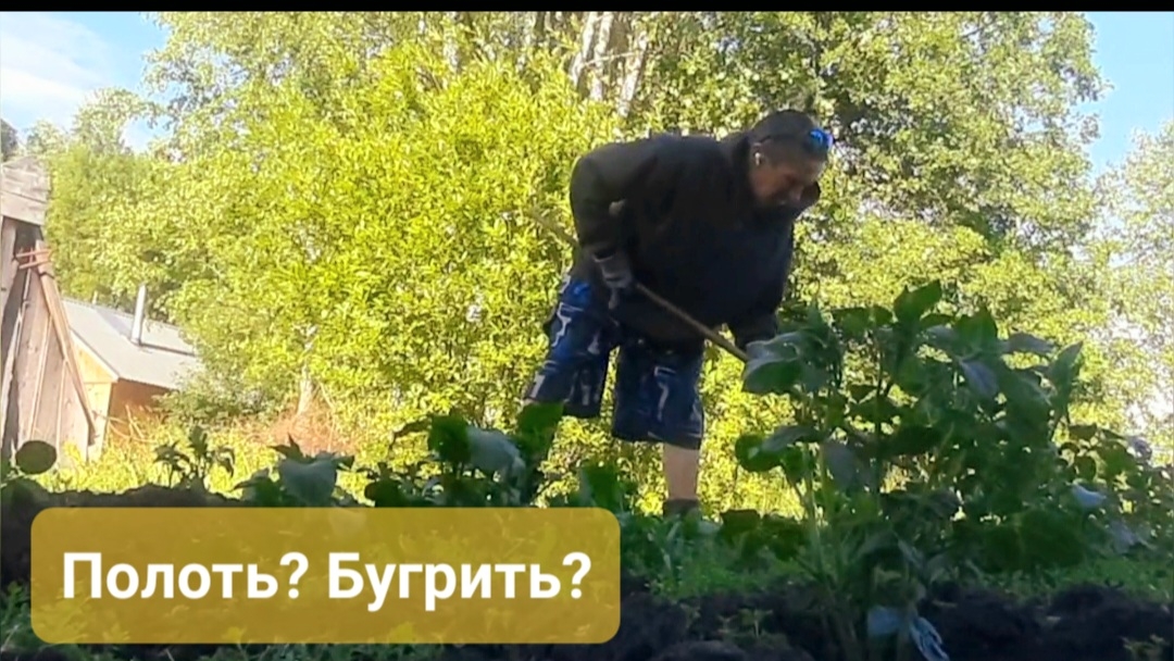 Z.Б.221. Что то делаю с кортофельным полем! Но в основном тут пилорама. Теперь живу я дома. смотреть онлайн