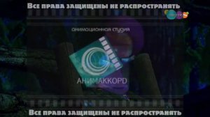 Bomba_V_Lesu_2021.Avi