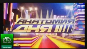 Анатомия дня