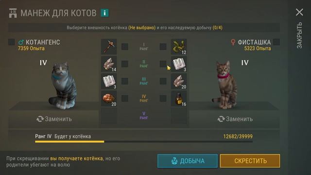 КАКОЙ КОТ В LDOE САМЫЙ ЛУЧШИЙ И ПРИБЫЛЬНЫЙ ПО РЕСУРСАМ? — Last Day on Earth: Survival смотреть онлайн