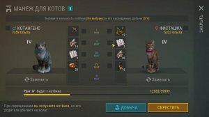 КАКОЙ КОТ В LDOE САМЫЙ ЛУЧШИЙ И ПРИБЫЛЬНЫЙ ПО РЕСУРСАМ? — Last Day on Earth: Survival