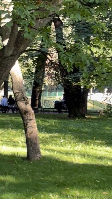 Михайловский сад в самом центре Санкт-Петербурга