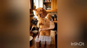 КАК КОТИК МОРОЖЕНКУ ДЛЯ СОВЫ ДЕЛАЛ И ЧТО ПОЛУЧИЛОСЬ