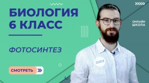 Фотосинтез. Урок 16. Биология 6 класс