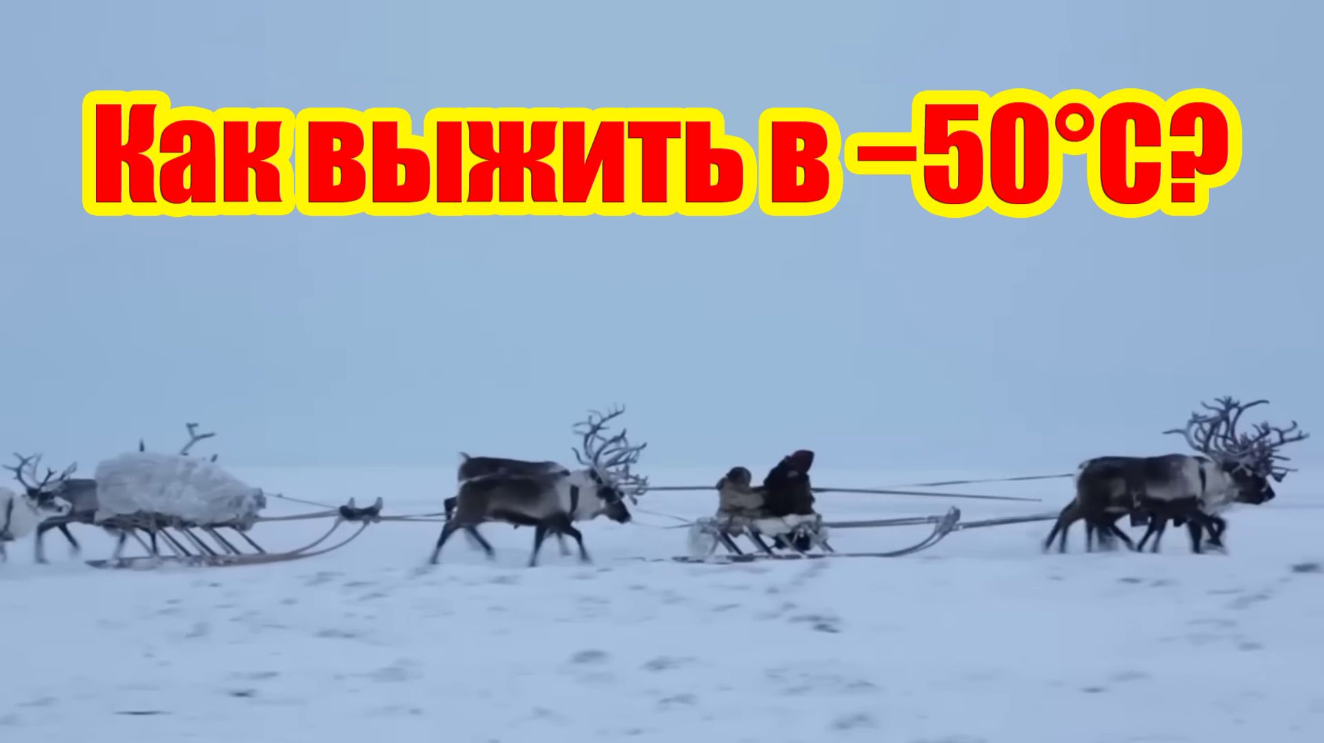 🥶 Как выжить в −50°C? Тайны жизни племени сыроедов, которые шокируют цивилизованный мир