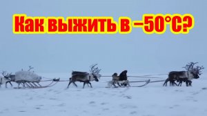 🥶 Как выжить в −50°C? Тайны жизни племени сыроедов, которые шокируют цивилизованный мир