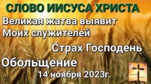 «Великая жатва выявит Моих служителей», «Страх Господень» — Слово Иисуса Христа 14.11.23