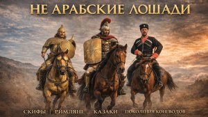 Арабская лошадь? Бред сивой кобылы!