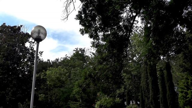 Прогулка от центра до небережной Геленджика 19 июня 2026