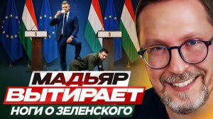 Мадьяр вытирает ноги о Зеленского, ЗАШКВАР 404 ❗АНАТОЛИЙ ШАРИЙ