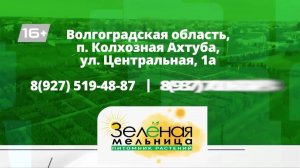 LIVE: Волгоград 1