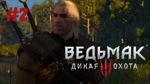 The Witcher 3 Wild Hunt Прохождение ►Изучаем открытый мир
