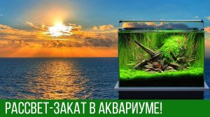 Светодиодное освещение в аквариуме - плавный запуск