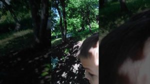 просто видео
