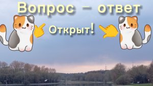 Вопрос - ответ открыт!