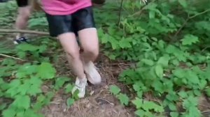 моя большая академическая улица