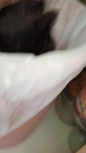 это что такое 🤣🤣🤣🤣🤣🤣🤣🤣