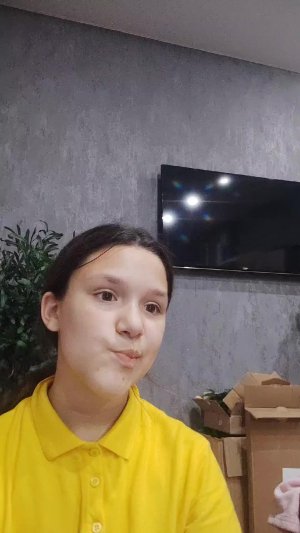 кибер убицэ