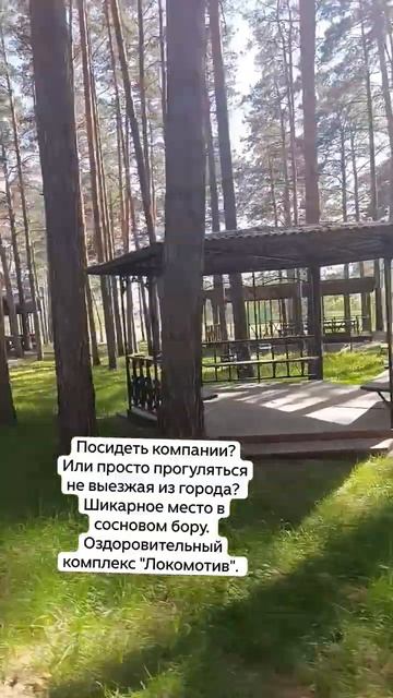 Сосновый бор в сердце Новосибирска. смотреть онлайн