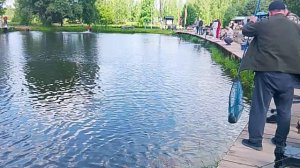 Фореливая рыбалка, ловля форели РК «Фишка Петряиха»