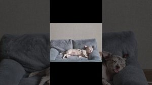 фсе что мы отправляли в мах без сообщения