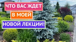 Показываю свой сад спустя годы