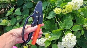 Ехали с дачи поломалась машина, ждём эвакуатор! Есть компот, нет ключа)))😃😃😃