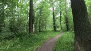 ищу выход из леса серия 53