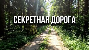 ТАЙНА ЛЕСНЫХ ПЛИТ: Куда ведет этот путь?