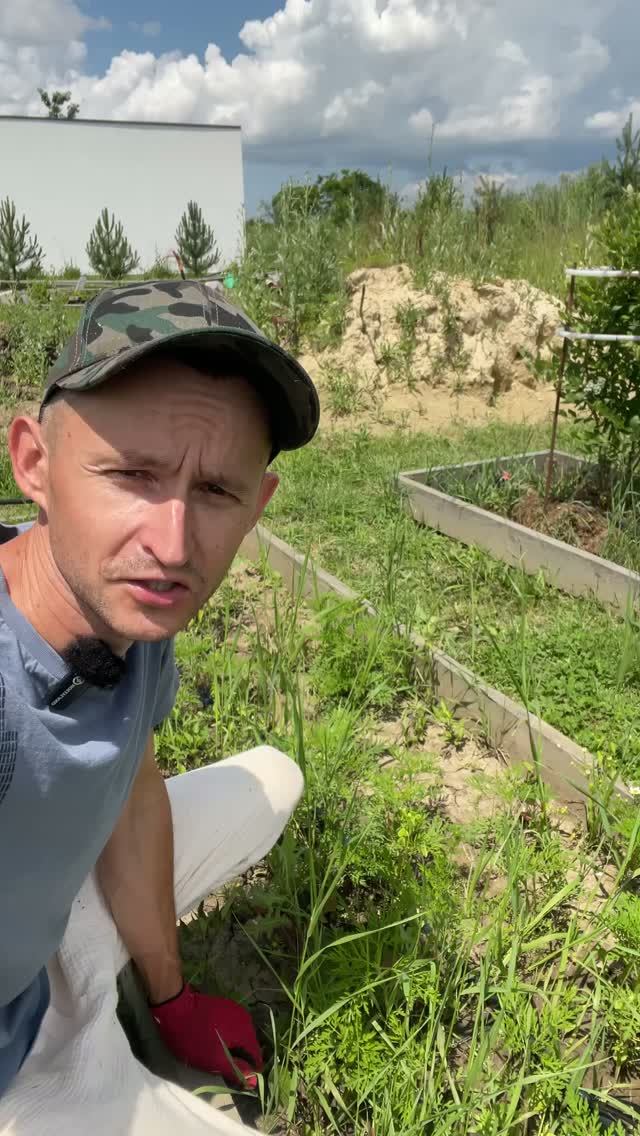 Гряда с нашей пышной зеленью, не завидуйте 😂