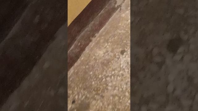 1000004221.mp4 смотреть онлайн